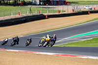 brands-hatch-photographs;brands-no-limits-trackday;cadwell-trackday-photographs;enduro-digital-images;event-digital-images;eventdigitalimages;no-limits-trackdays;peter-wileman-photography;racing-digital-images;trackday-digital-images;trackday-photos